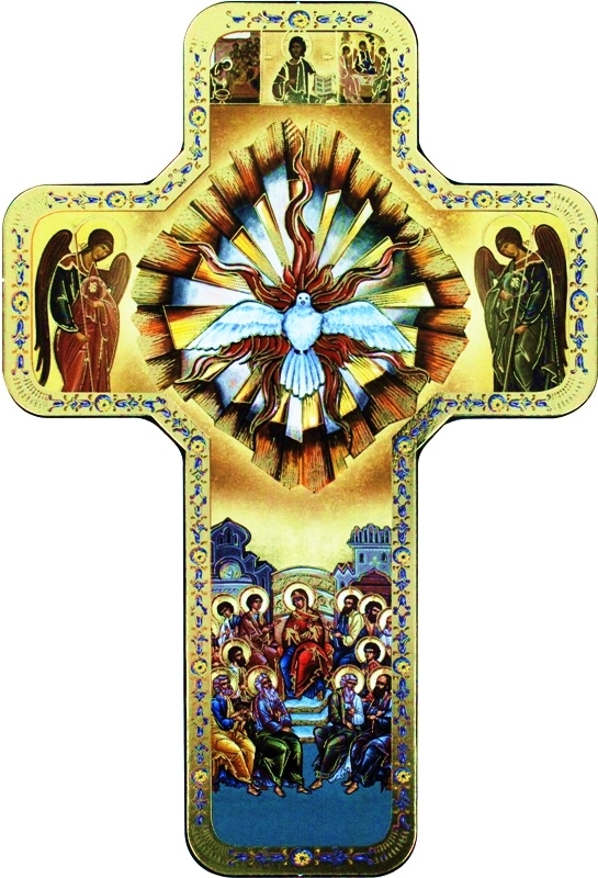 Confirmation Icon Cross