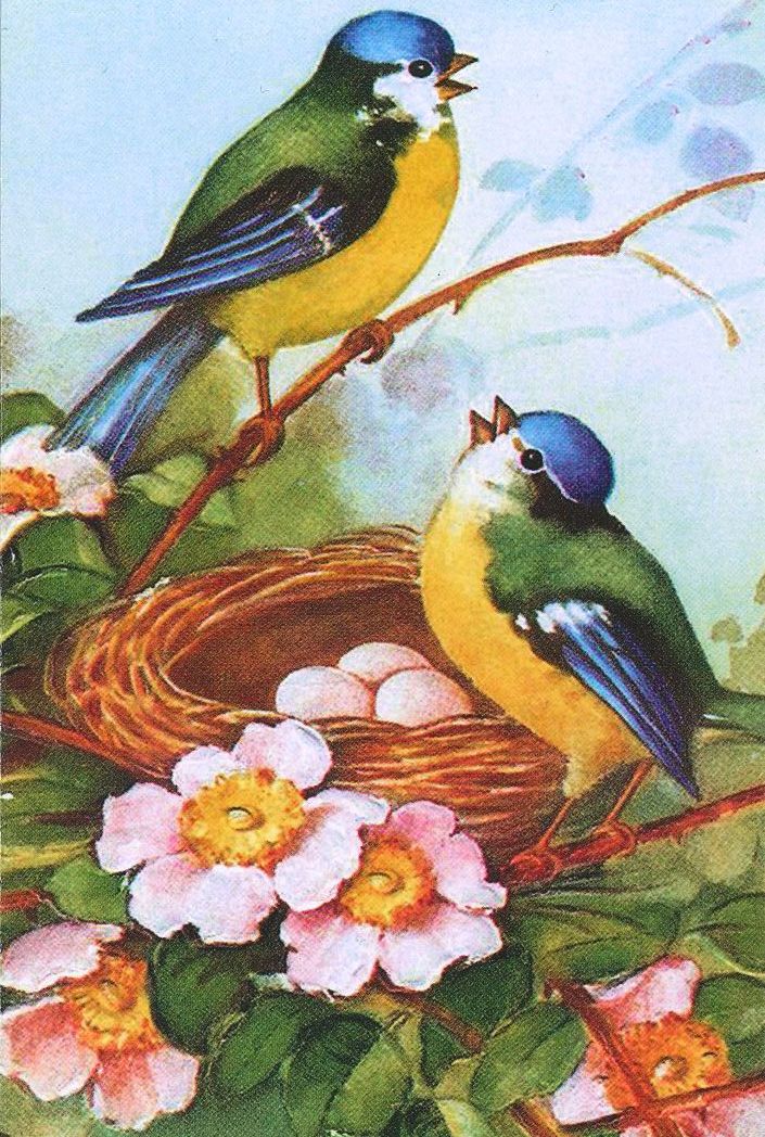 Easter Cards (Pack of 5)