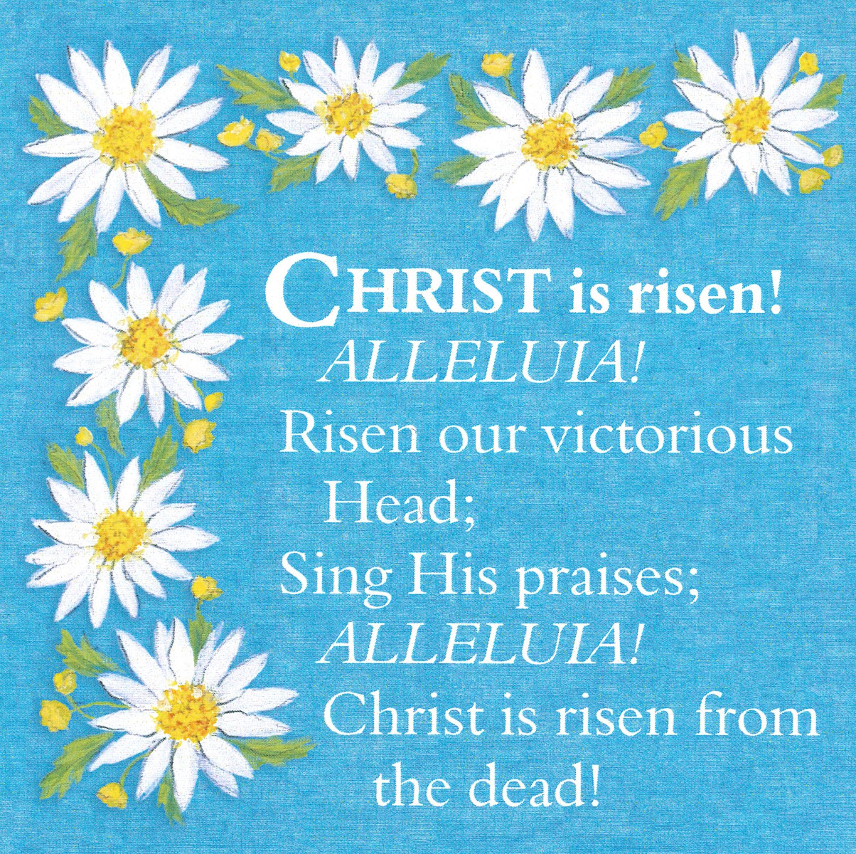 Easter Cards (Pack of 5)