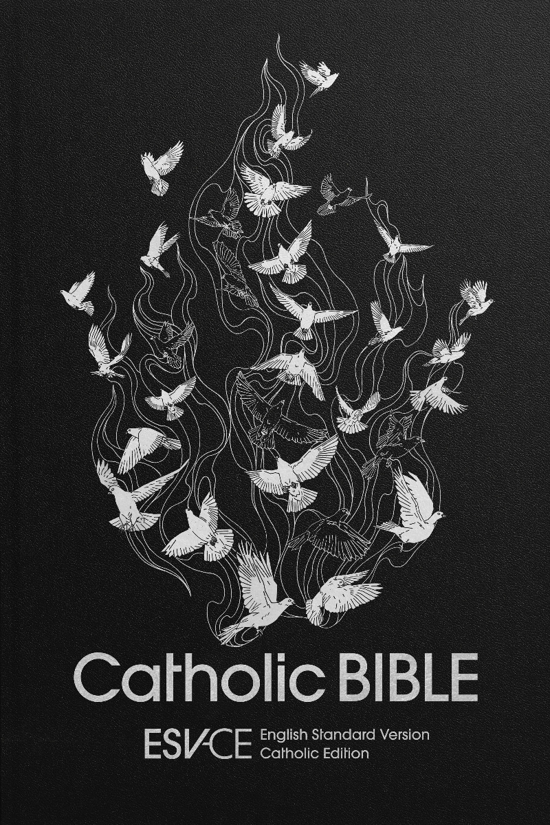 ESV-CE Catholic Bible (English Standard Version Catholic Edition)