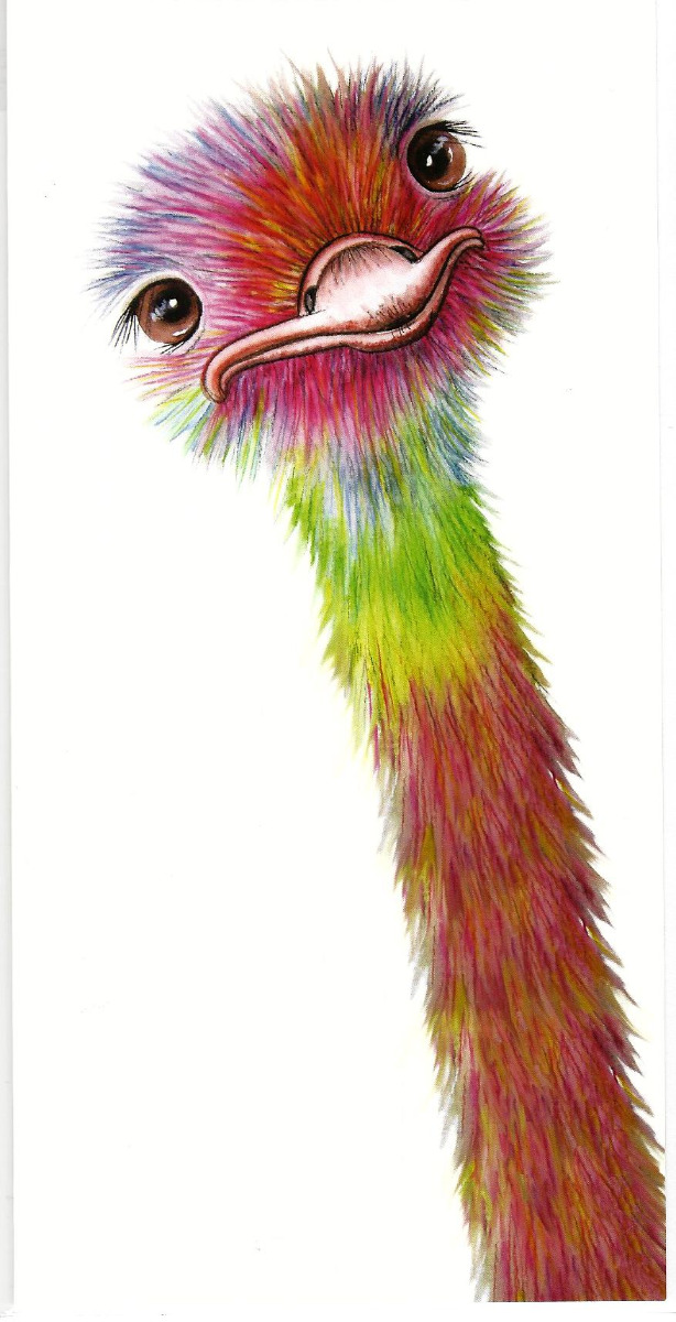 Blank Card - Ostrich Chick 537302