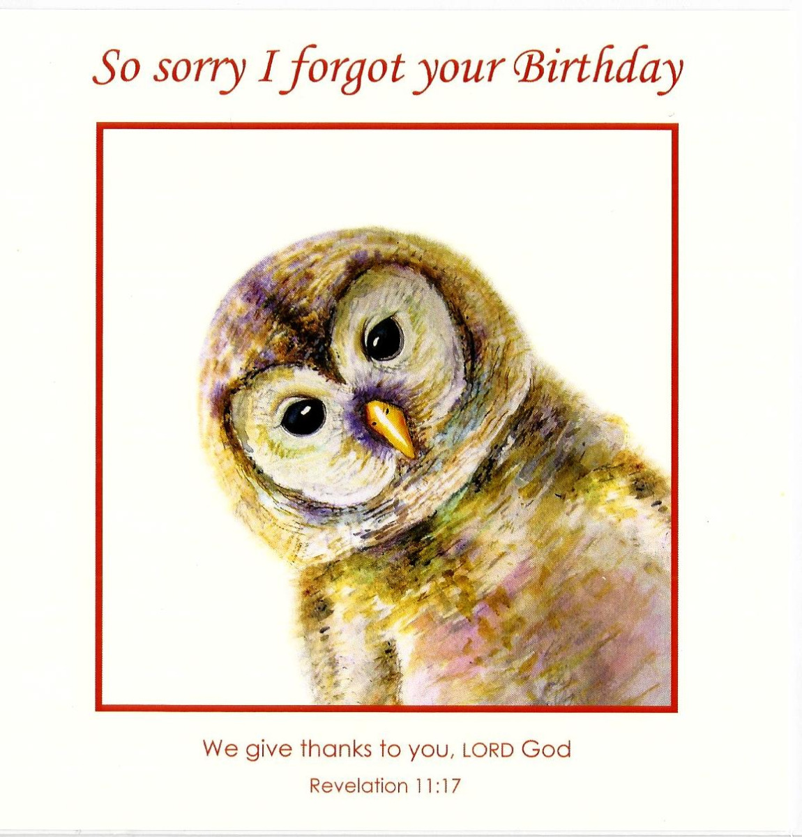 So Sorry I Forgot Your Birthday 537701