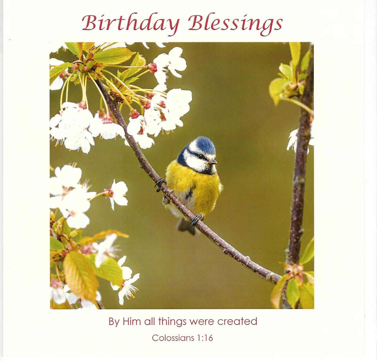 Card-Birthday Blessings 537390