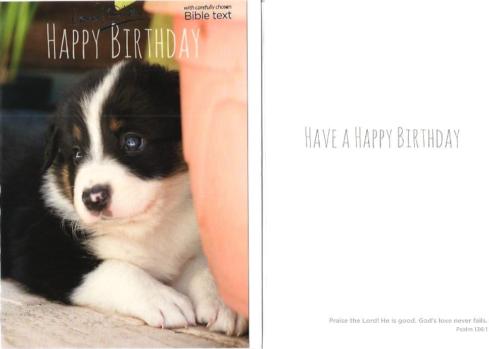 Card - Happy Birthday (Border Collie Pup) 534961