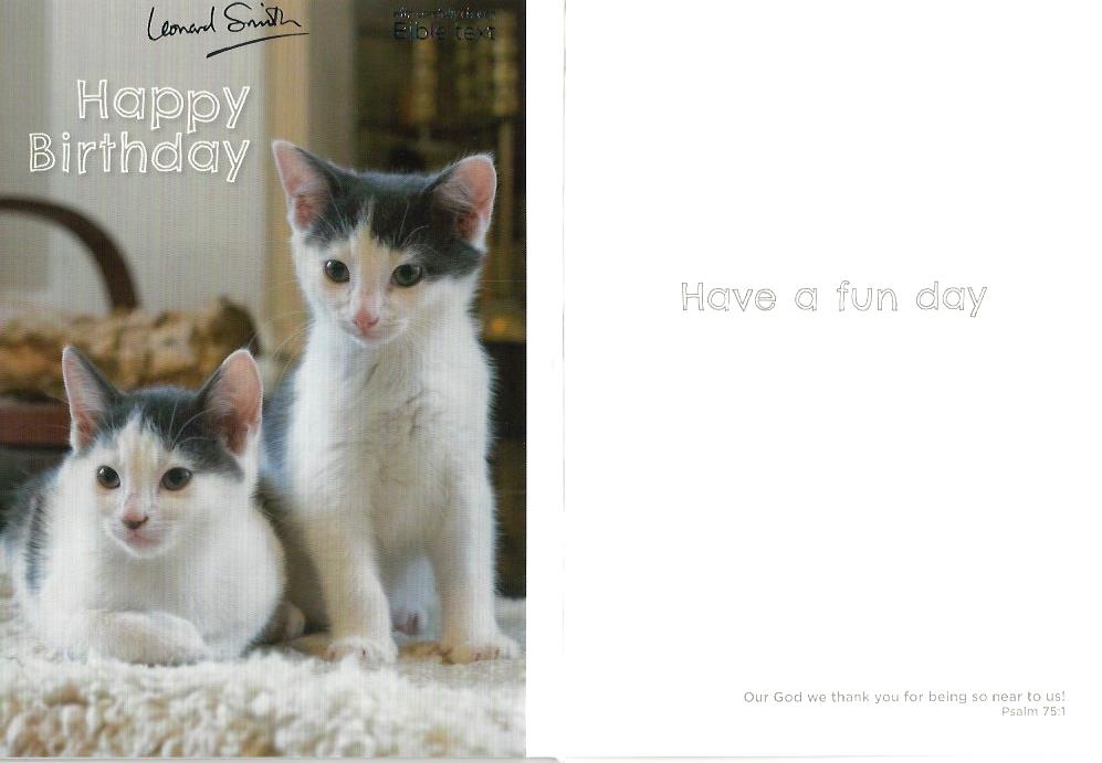 Card - Happy Birthday (Grey & White Kittens) 536780