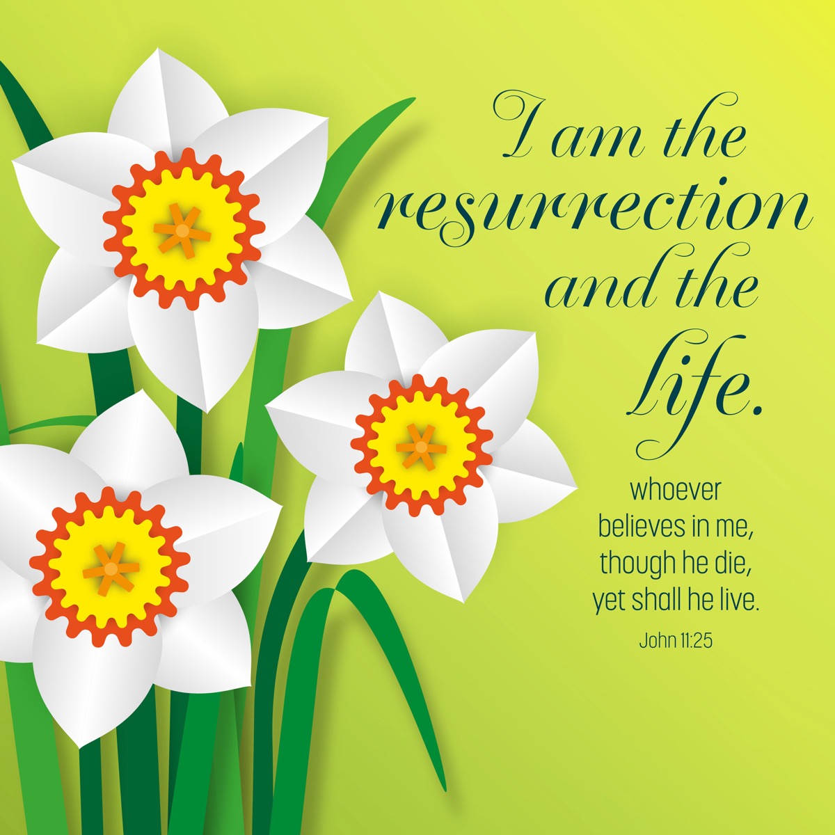I am the resurrection Easter Cards (Pack of 5)