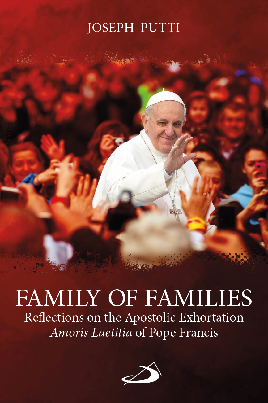 Family of Families: Reflections on the Apostolic Exhortation 'Amoris Laetitia' of Pope Francis