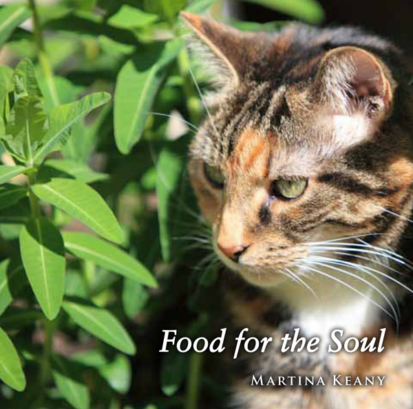 Food for the Soul CD