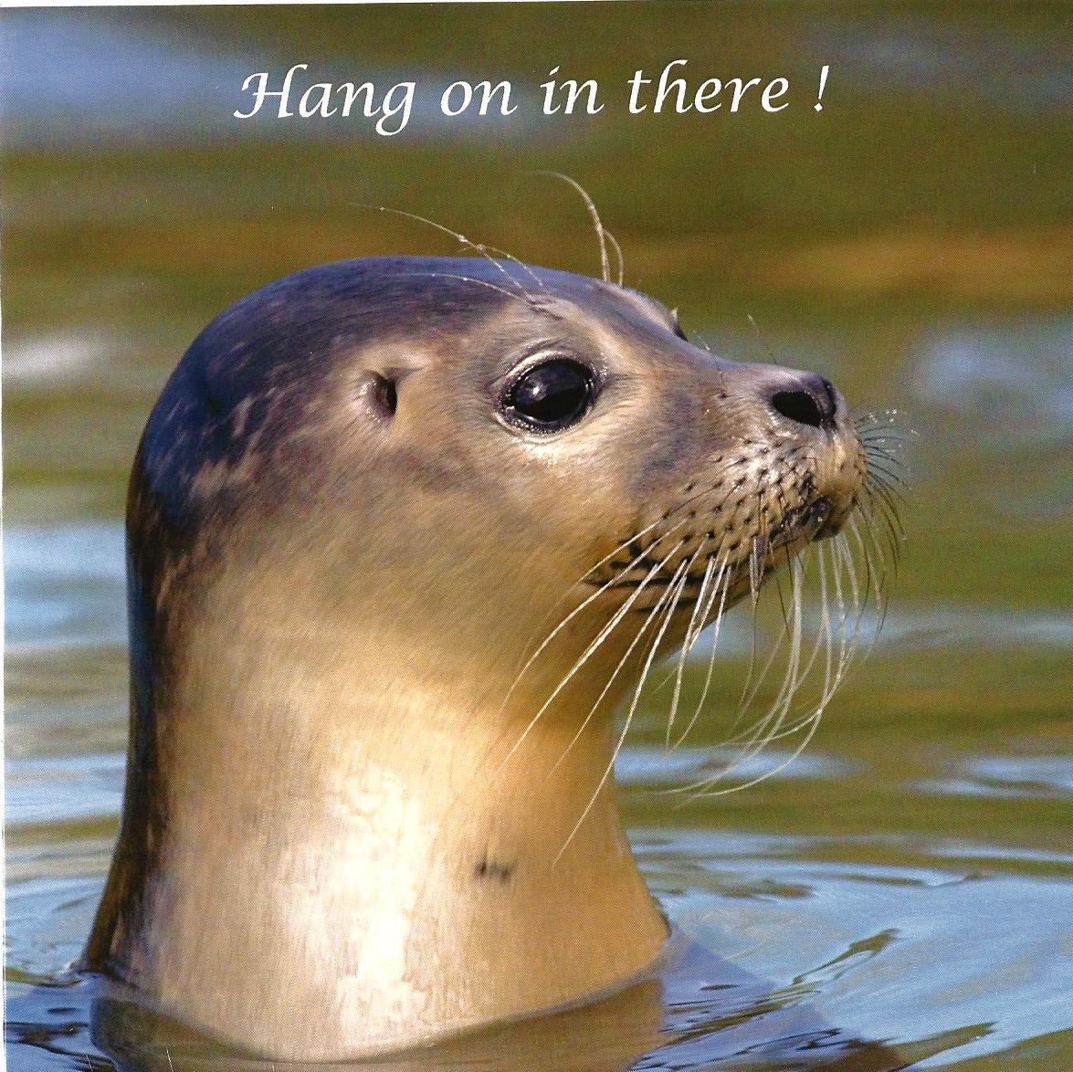 Hang on in there! 536331