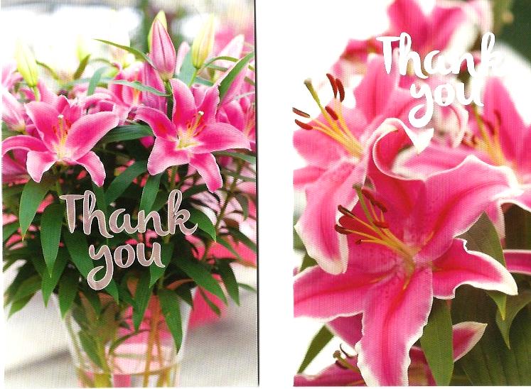 10 NoteCards Thank You 531705 / W121