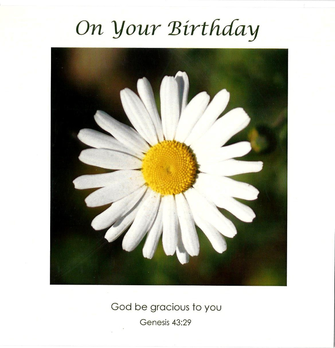 On Your Birthday 536360
