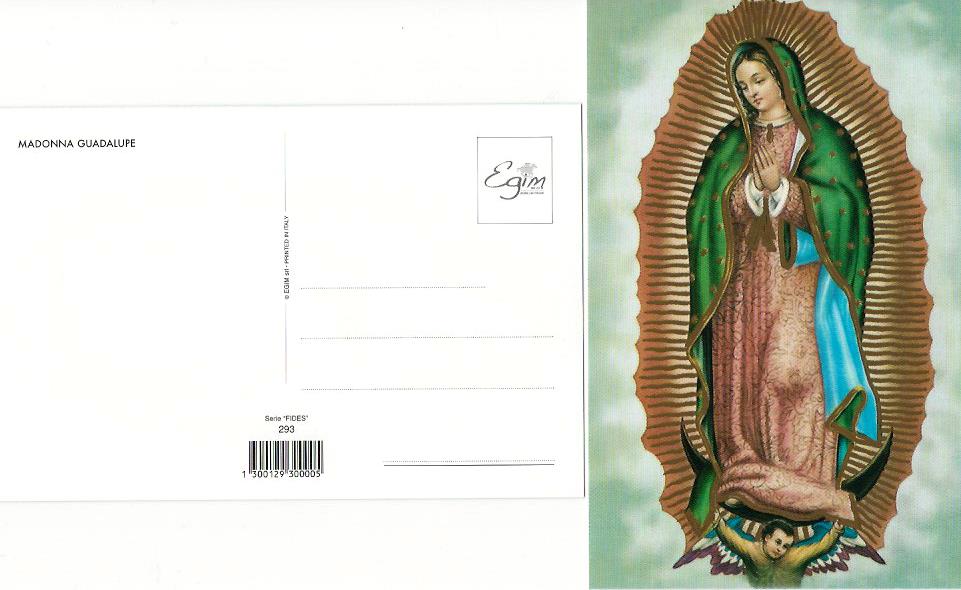 Post Card - Our Lady of Guadalupe