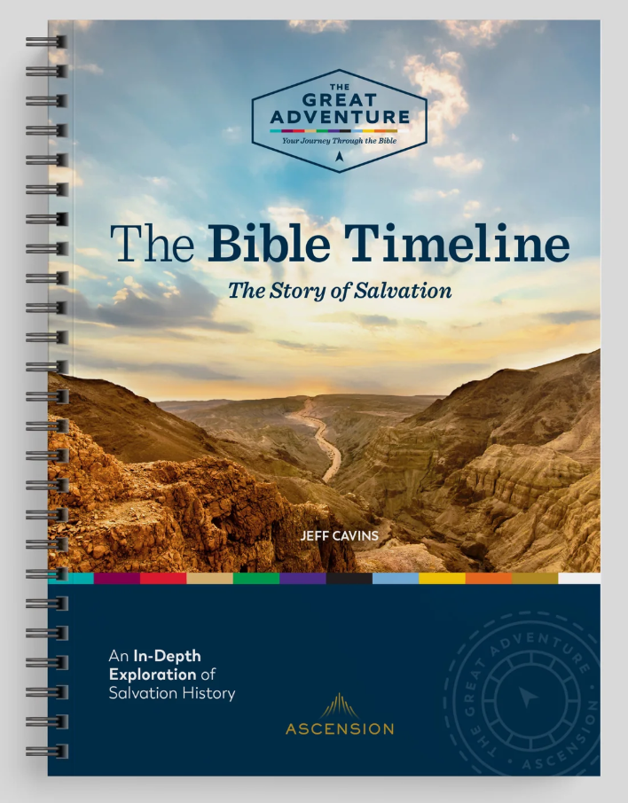 The Bible Timeline: The Story of Salvation (2025)