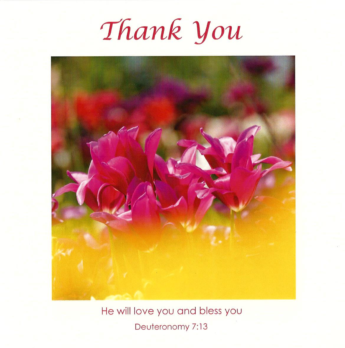 Thank You 536326