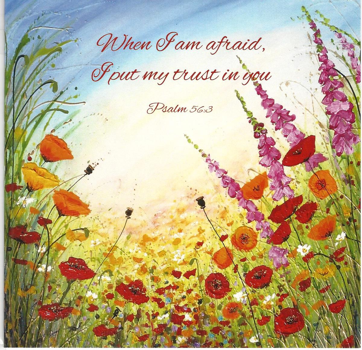 When I Am Afraid... 537396