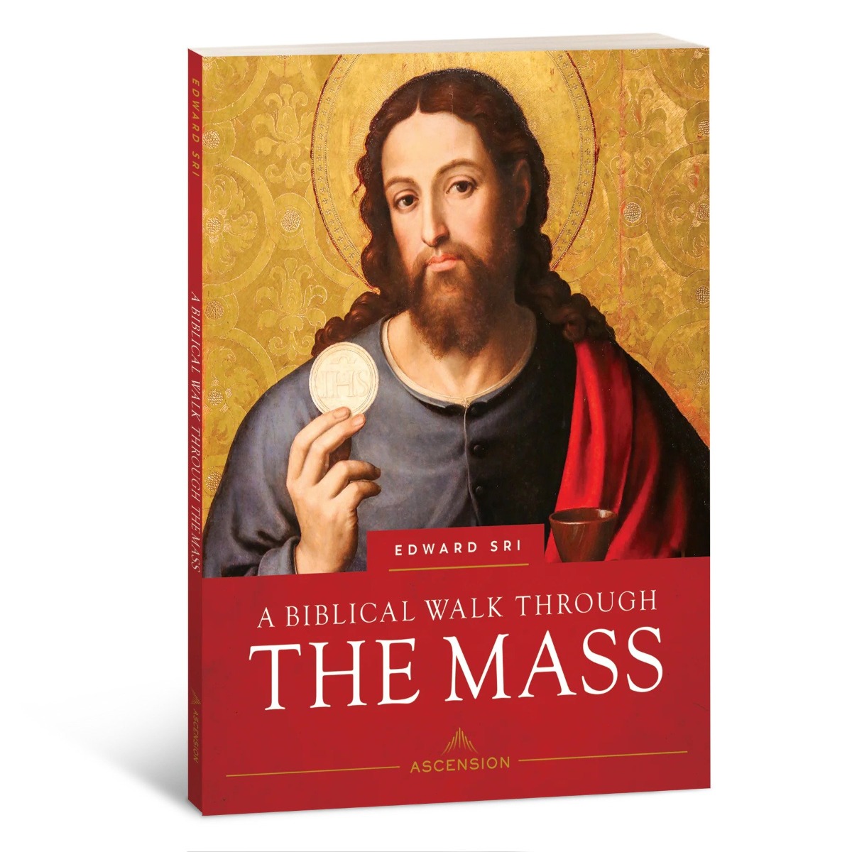 A Biblical Walk Through the Mass (Student Workbook)